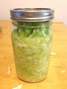 Basic Sauerkraut For Newbies