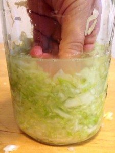 Basic Sauerkraut For Newbies