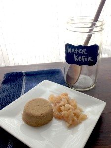 Resources and tools for making water kefir