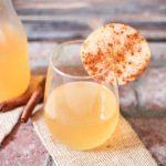 Spiced Cider Kefir Immune Booster (non-dairy)