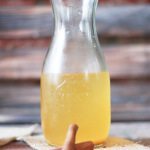 9 Kombucha And Water Kefir Recipes To Comfort And Heal You This Fall