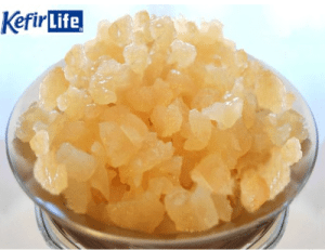 Keysand live organic water kefir grains