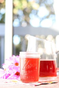 Wildberry Hibiscus Pu'erh Kombucha recipe. Refreshing, tart, slightly sweet and bubbly. Easy to make yourself. You will not find this flavor in stores.