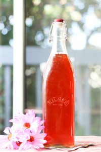 Wildberry Hibiscus Pu'erh Kombucha recipe. Refreshing, tart, slightly sweet and bubbly. Easy to make yourself. You will not find this flavor in stores.