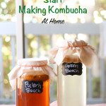 3 Steps To Start Making Kombucha At Home