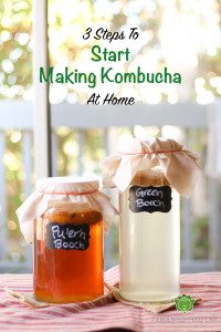 3 Steps To Start Making Kombucha At Home