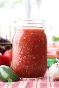Hot And Spicy Fermented Salsa