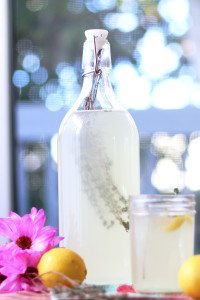 Recipe for lemon thyme green tea kombucha. It's refreshingly tart, lemony and tastes like summer picnics!