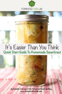 It's Easier Than You Think - Quick Start Guide To Making Homemade Sauerkraut