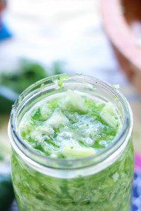 Jalapeño Cilantro Sauerkraut recipe is bursting with flavor. The jalapeños, cilantro, garlic and onion make this sauerkraut taste like a green salsa.