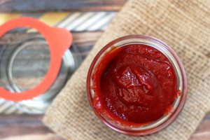 Easy to make Healthy Probiotic Ketchup recipe. Tastes great and promotes youthful skin and a vibrant, healthy body.