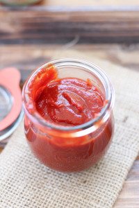 Easy to make Healthy Probiotic Ketchup recipe. Tastes great and promotes youthful skin and a vibrant, healthy body.