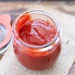 Healthy Probiotic Ketchup