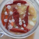 What is that white milky stuff on my fermented veggies?