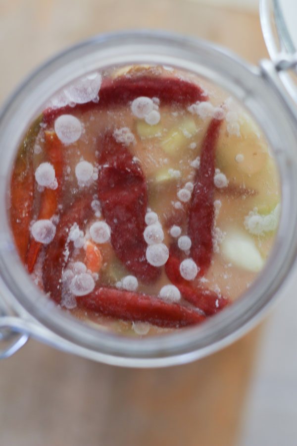 What is that white milky stuff on my fermented veggies? When is it safe to eat and when to toss it out. Troubleshooting tips for fermenting and pickling.
