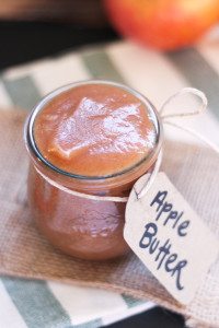 Keep your sexy Summer glow and fuel your passion with my Top Probiotic Apple recipes. Wow your taste buds and stay fit through fall and winter.