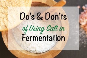 The Do’s and Don’ts of Using Salt in Fermentation