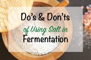 The Do's and Don'ts of Using Salt in Fermentation. Salt can either make your fermented foods more nutrient rich or it can inhibit fermentation.