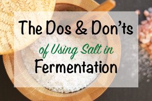 The Do's and Don'ts of Using Salt in Fermentation. Salt can either make your fermented foods more nutrient rich or it can inhibit fermentation.