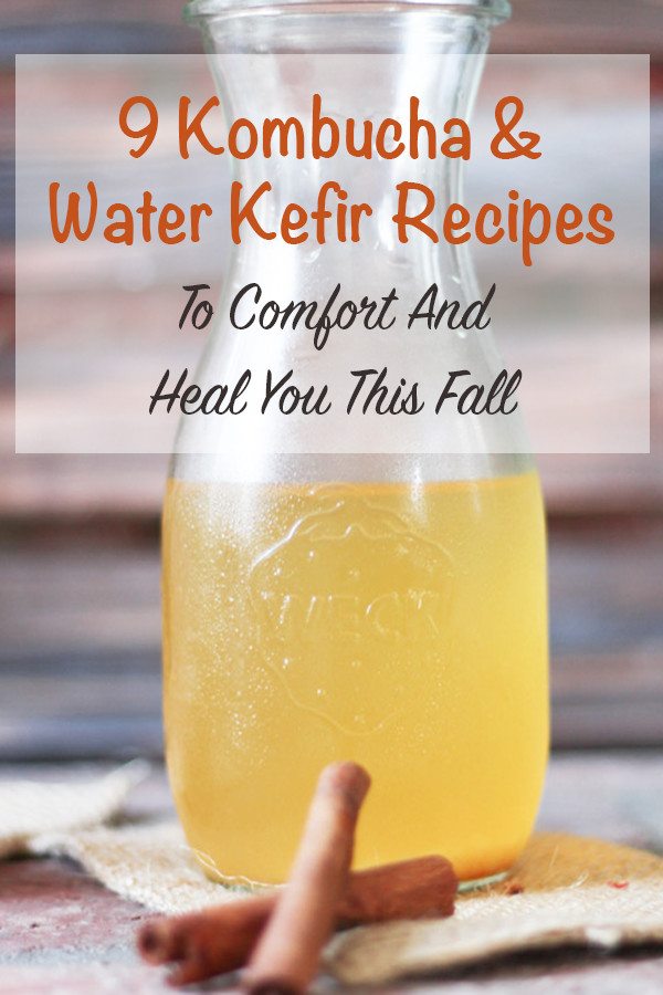 9 kombucha and water kefir recipes to comfort and heal you this fall. Flavor these probiotic, immune boosters with warming fall spices and fruit.