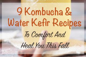 9 kombucha and water kefir recipes to comfort and heal you this fall. Flavor these probiotic, immune boosters with warming fall spices and fruit.
