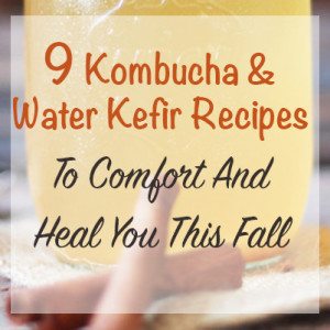 9 kombucha and water kefir recipes to comfort and heal you this fall. Flavor these probiotic, immune boosters with warming fall spices and fruit.