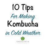 10 Tips For Making Kombucha In Cold Weather