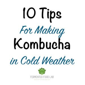 10 Tips For Making Kombucha In Cold Weather. Is your kombucha taking longer to ferment than usual? Are you having a hard time getting it to ferment at all?