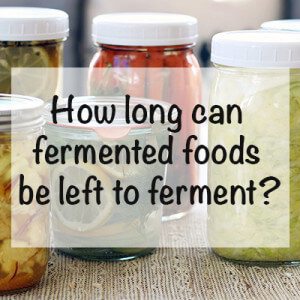 How long can fermented foods be left to ferment? You can let your vegetables ferment for several weeks, months or days, but it depends on these things.