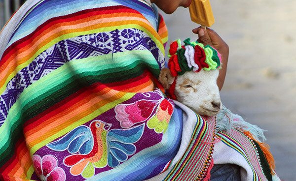 Trip To Peru. Boy taking a break with his lamb.