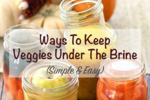 Can't get your sauerkraut or pickles to stay under the brine? Here are ways to keep veggies under the brine. Simple and easy.