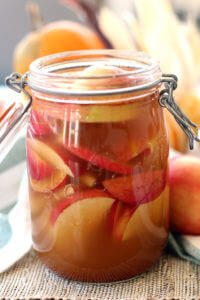 Warm cinnamon, fresh ginger and sweet, juicy apples are fermented for two days to make Spiced Probiotic Apples. Great as a snack or added to smoothies.