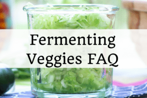 Fermenting Veggies FAQs