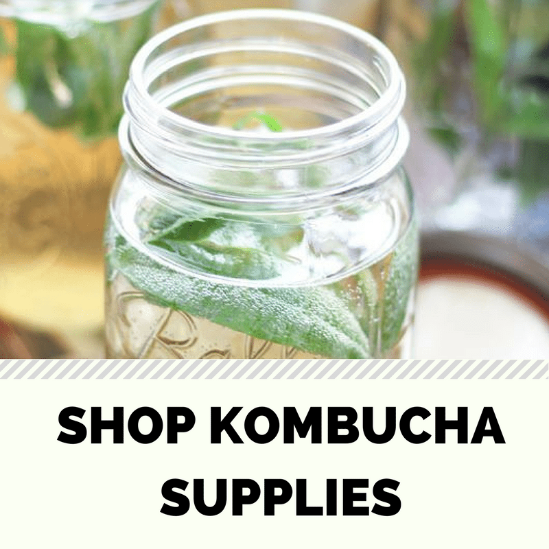 Shop Kombucha Supplies
