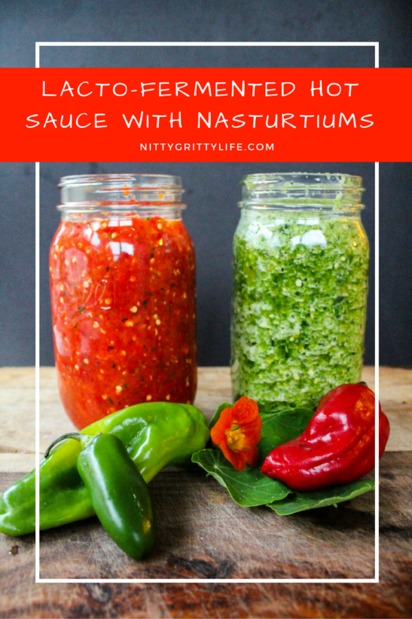 There are endless variations of Fermented Hot Sauce Recipes that can be made with any type of peppers, herbs and fruit. Get the top recipes here. 