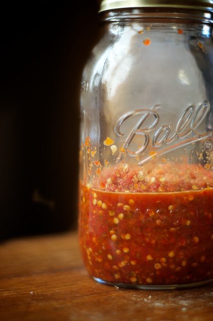 There are endless variations of Fermented Hot Sauce Recipes that can be made with any type of peppers, herbs and fruit. Get the top recipes here. 