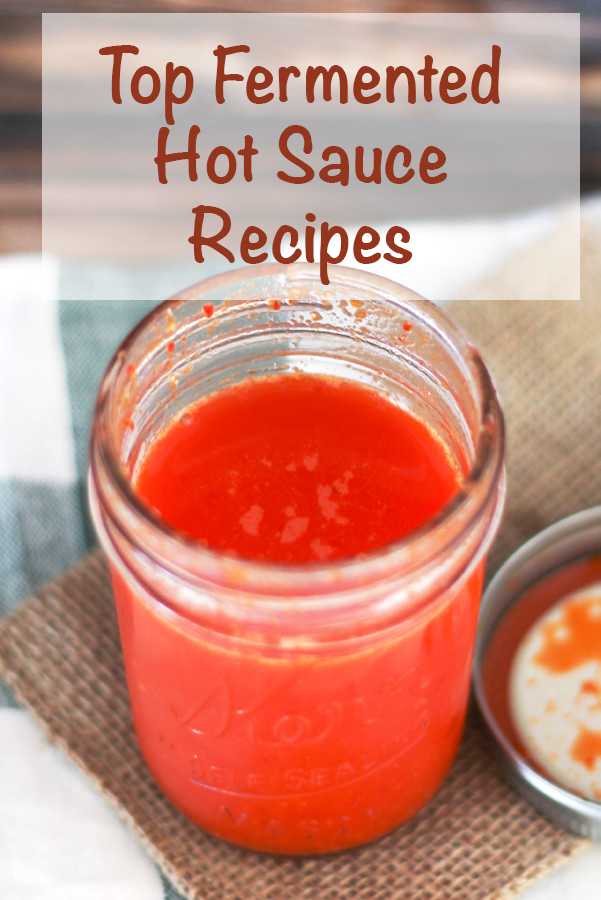 There are endless variations of Fermented Hot Sauce Recipes that can be made with any type of peppers, herbs and fruit. Get the top recipes here. 