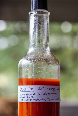 There are endless variations of Fermented Hot Sauce Recipes that can be made with any type of peppers, herbs and fruit. Get the top recipes here. 