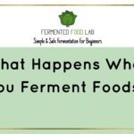 What happens when you ferment foods?
