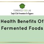 Health Benefits Of Fermented Foods