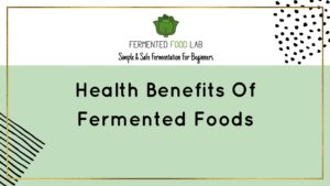 Health benefits of fermented foods. Fermented Foods are so amazing for your body and can be key to having more energy, better digestion, a stronger immune system and many other benefits. Gut health is so important!