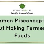 Common Misconceptions About Fermented Foods