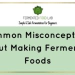 Common Misconceptions About Fermented Foods