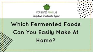 Which Fermented Foods Can You Easily Make At Home?