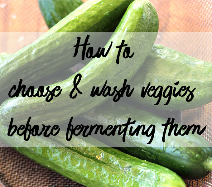 Here's how to choose and wash veggies before fermenting them. Making delicious pickles and sauerkraut starts with the quality of your ingred