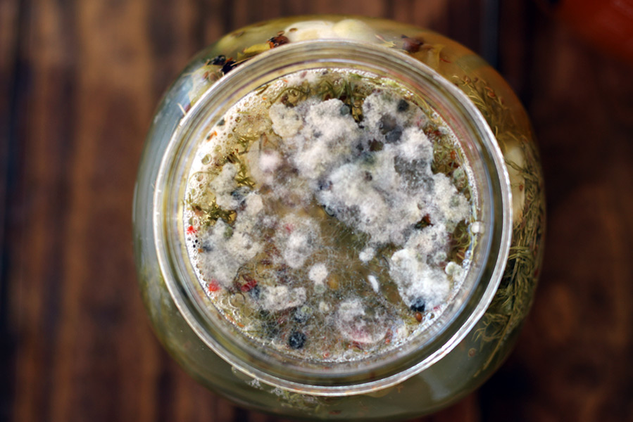 Have your ferments been getting moldy or soft and mushy lately? These issues may be avoided if you follow my tips for fermenting in hot weather. 