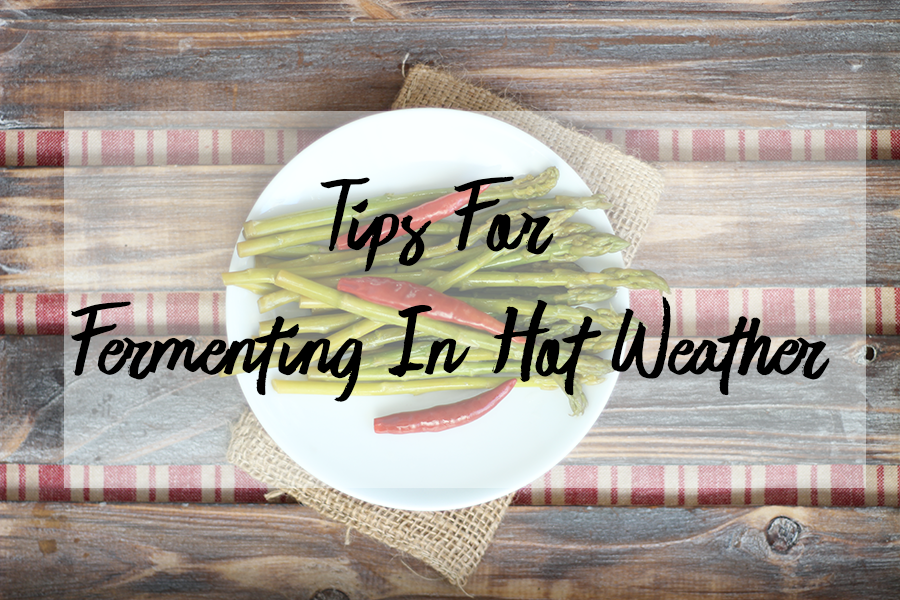 Have your ferments been getting moldy or soft and mushy lately? These issues may be avoided if you follow my tips for fermenting in hot weather. 