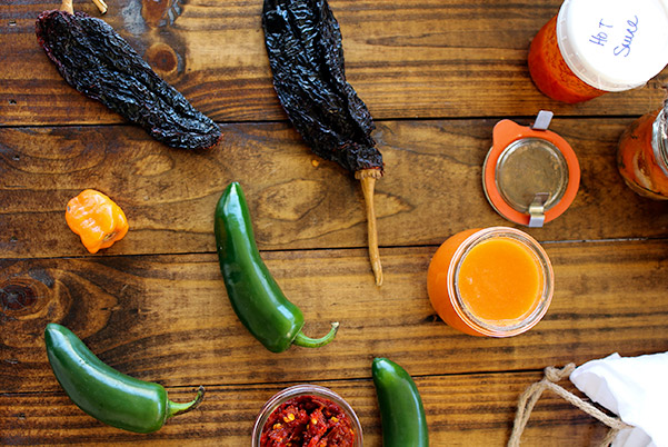 Habanero peppers, bell peppers and garlic are fermented in saltwater to create a spicy, Habanero Hot Sauce that's rich in flavor and packs some heat.